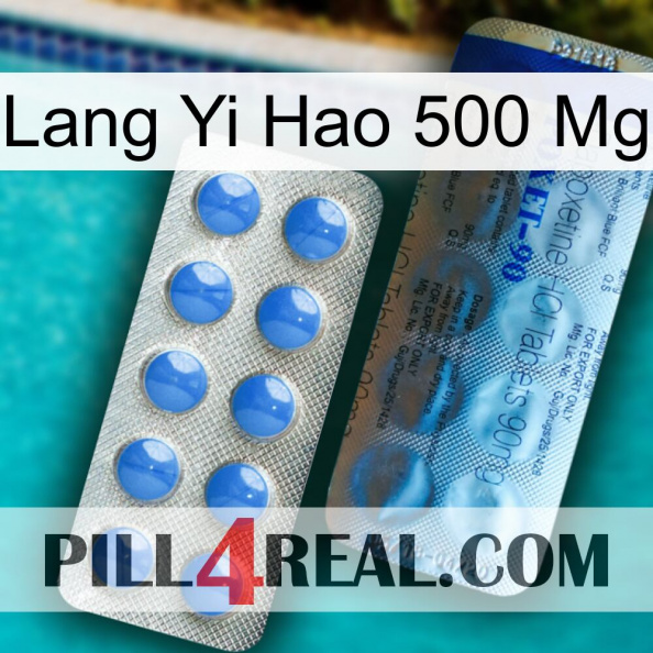 Lang Yi Hao 500 Mg 40.jpg